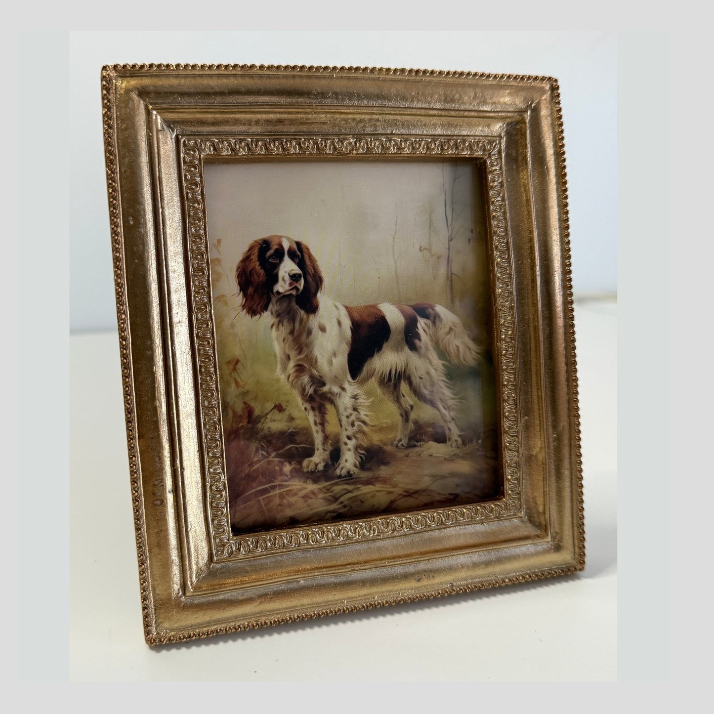 6" Bird Dog Framed Prints