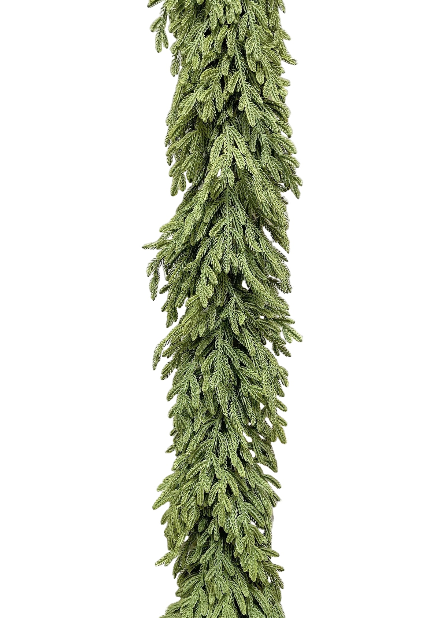 59" Fresh Touch Baby Norfolk Pine Garland