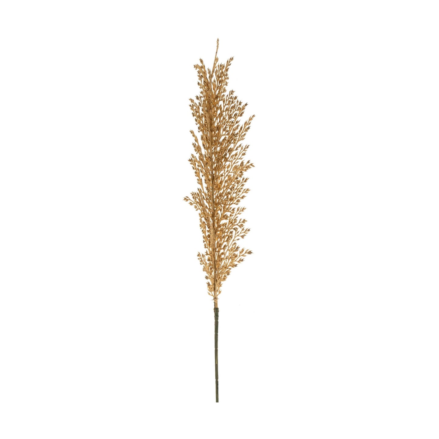 Wheat Stem