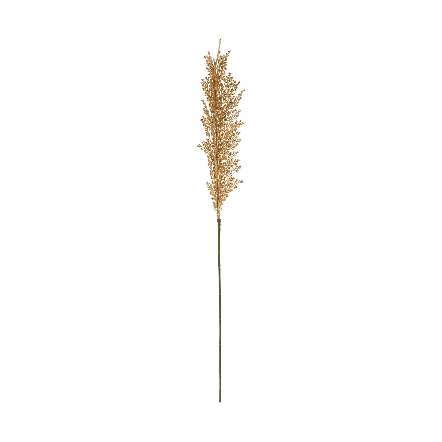 Wheat Stem