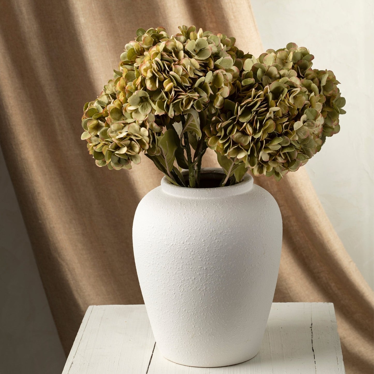 Green Faded Hydrangea Stem