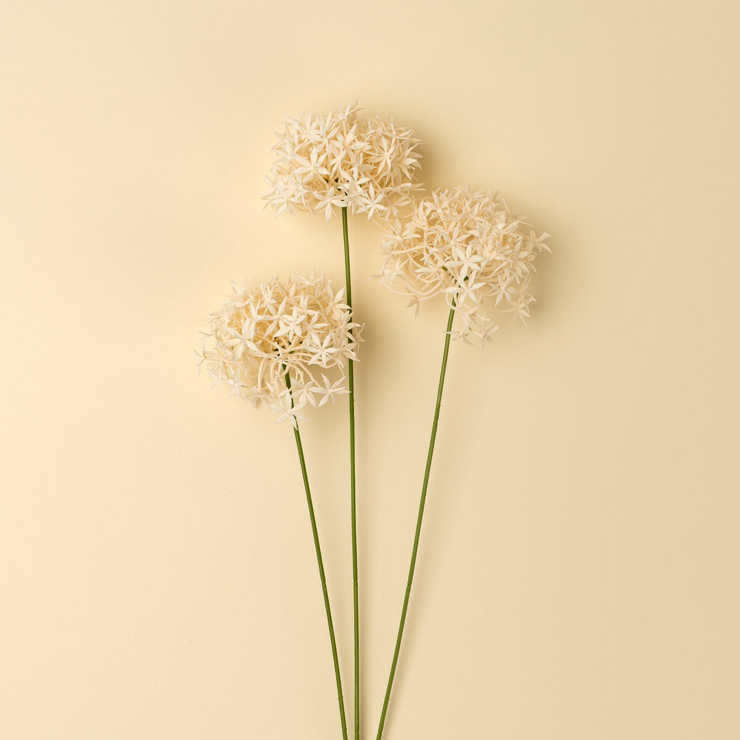 Champagne Allium Floral Spray