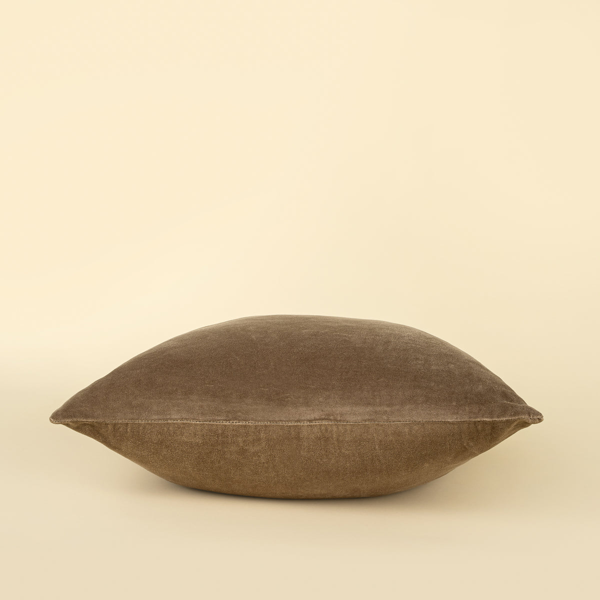 20x20 Vera Luxe Velvet Pillow, Birch