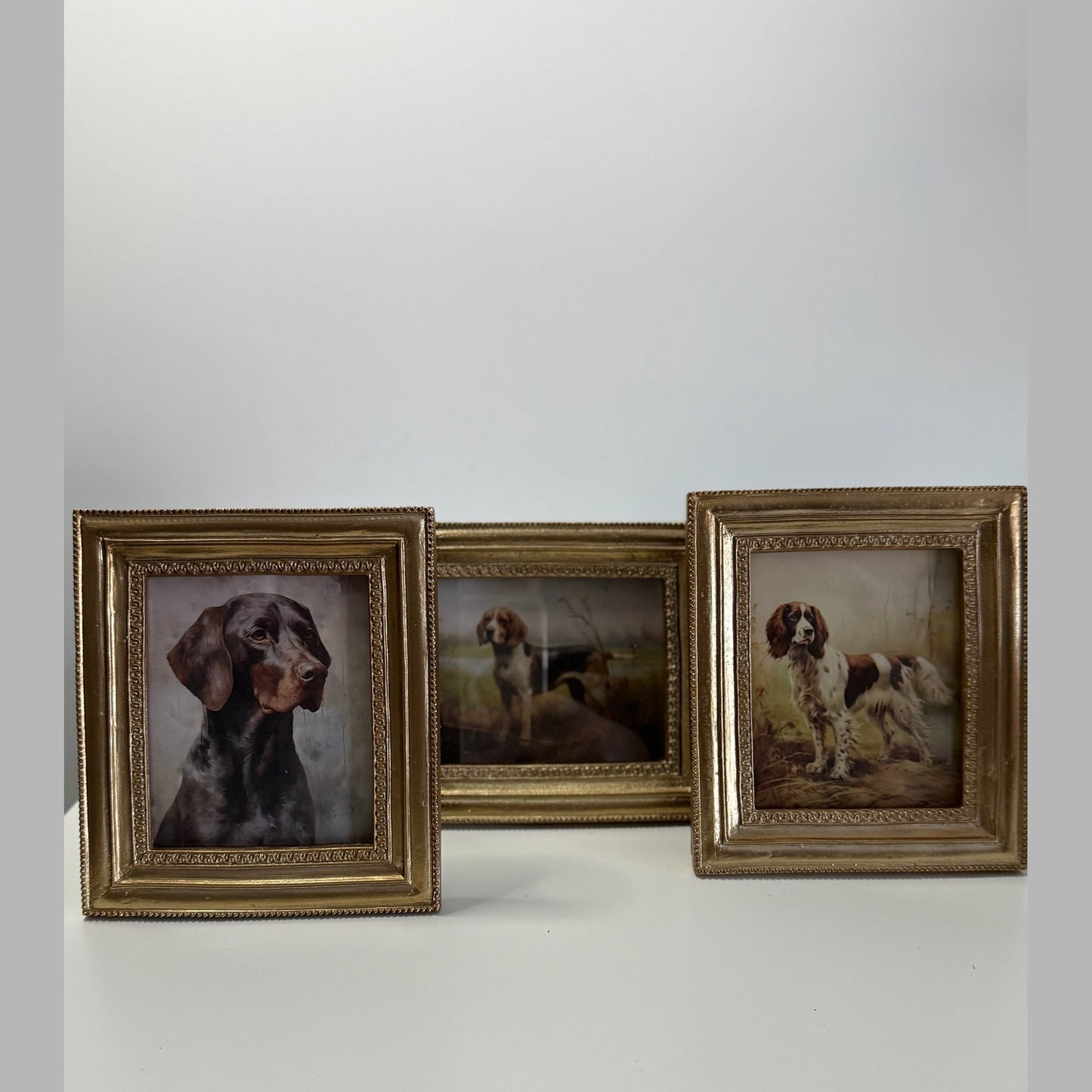 6" Bird Dog Framed Prints