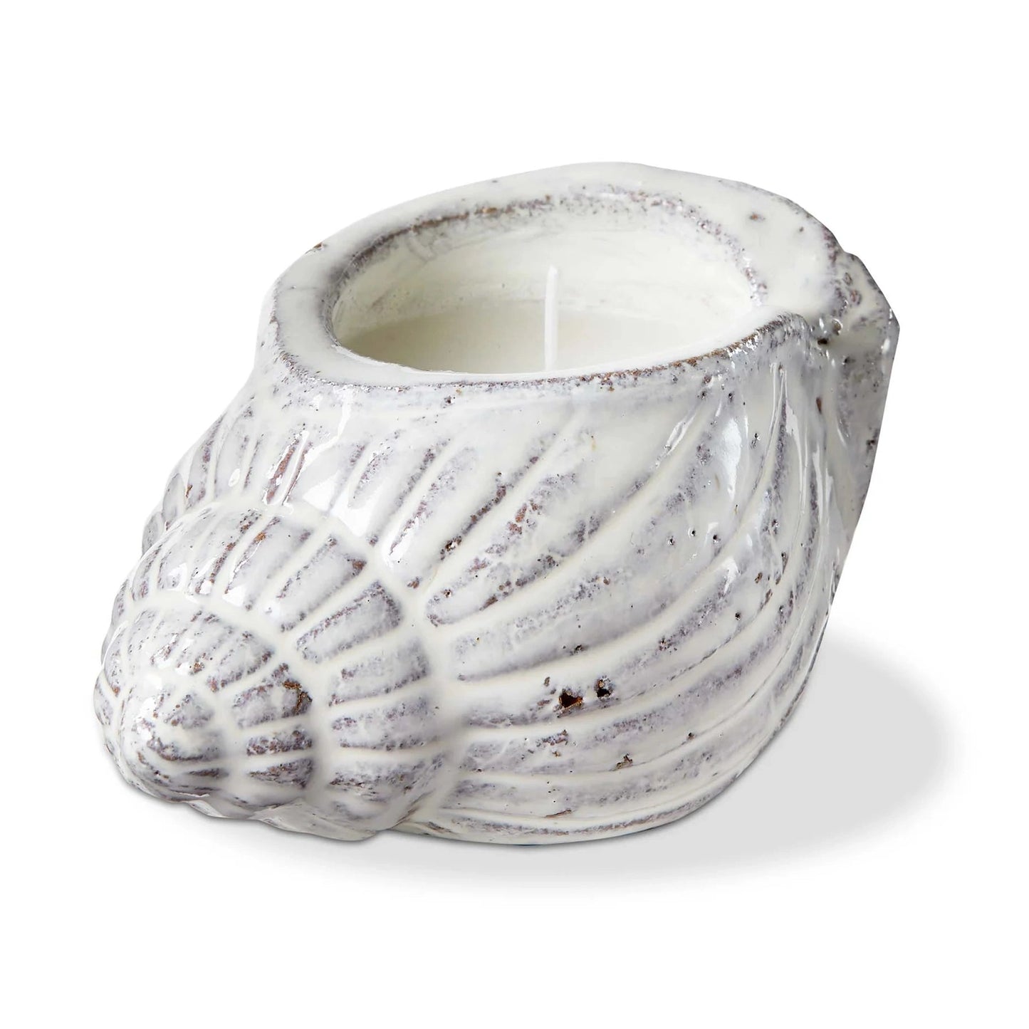 Shell Citronella Candle
