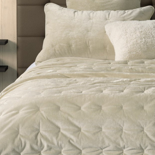 Lounge Solid Ivory Velvet Quilt