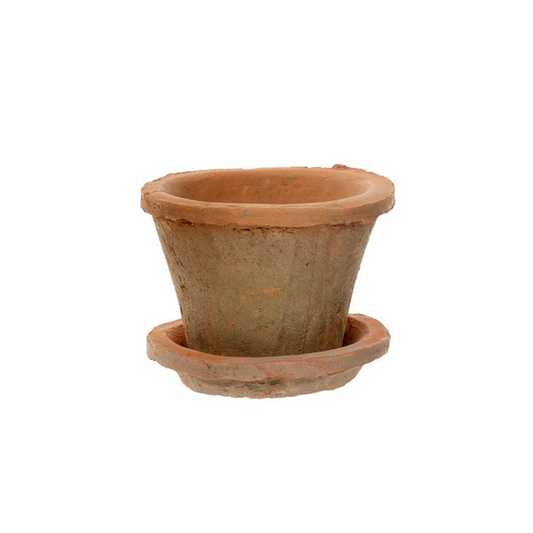 Redstone Clay Cactus Pot & Saucer