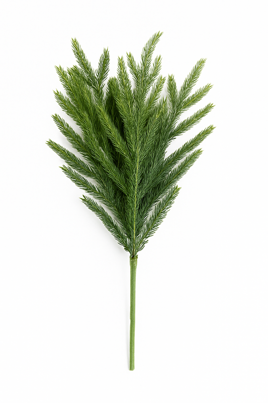 18 Inch Real Touch Norfolk Pine Branch