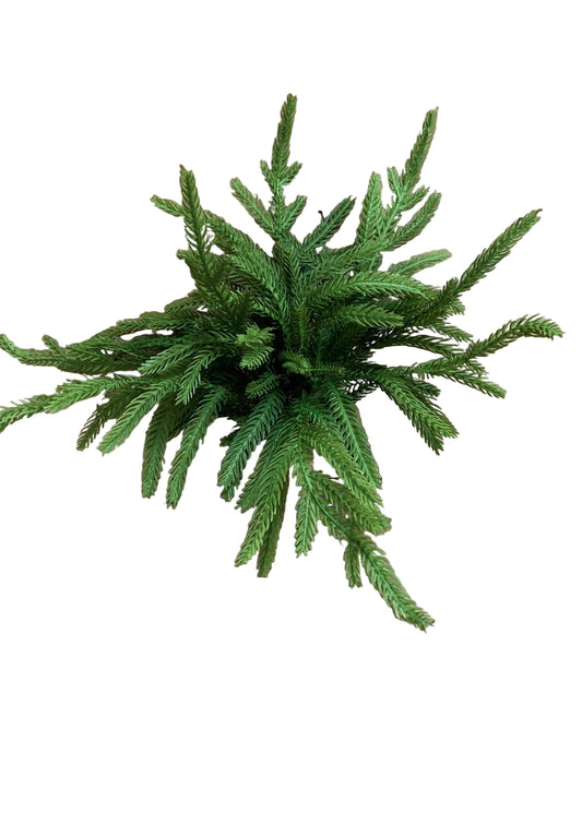 12" FRESH TOUCH NORFOLK PINE PICK X 5 PCS TO A BUNDLE