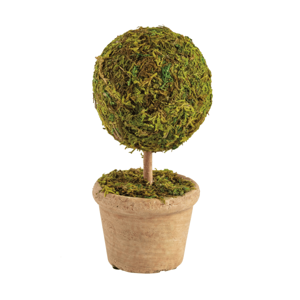 Moss Covered Topiary