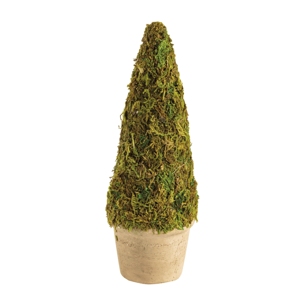 Moss Covered Topiary