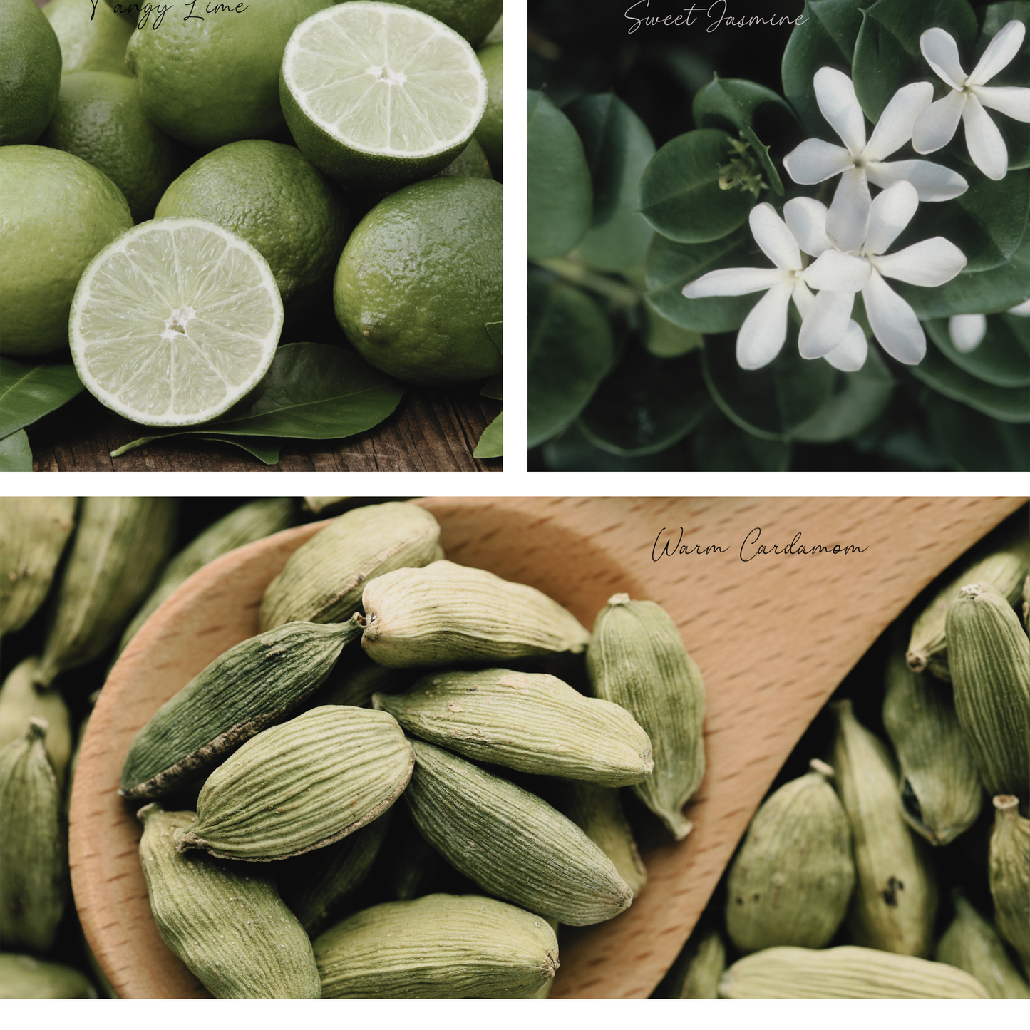 Fall | Be Cozy Simmer Pot Mix, Natural Jasmine Spice Aroma