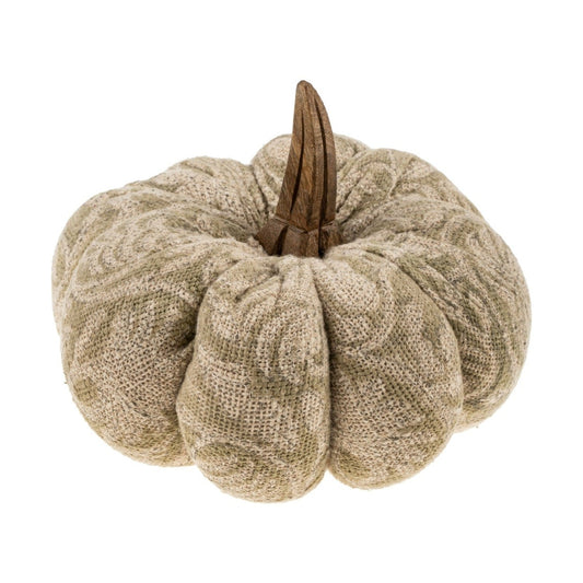 Textured beige pumpkin with a wooden stem on a white background
