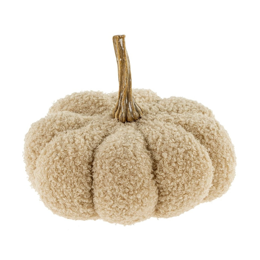 Beige textured pumpkin with a stem on a white background