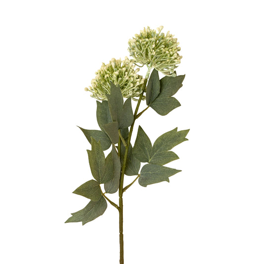 Sedum Spray, Green
