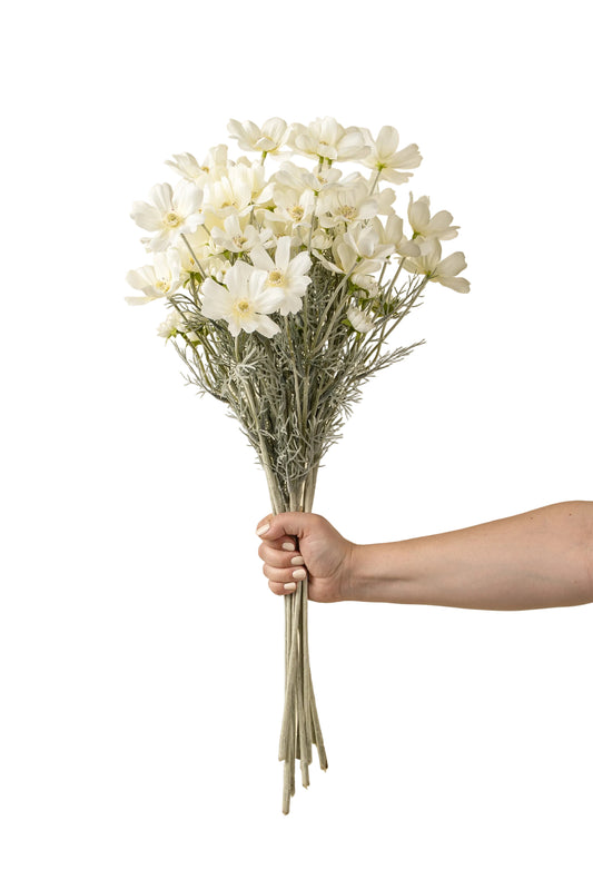 White Cosmos Spray