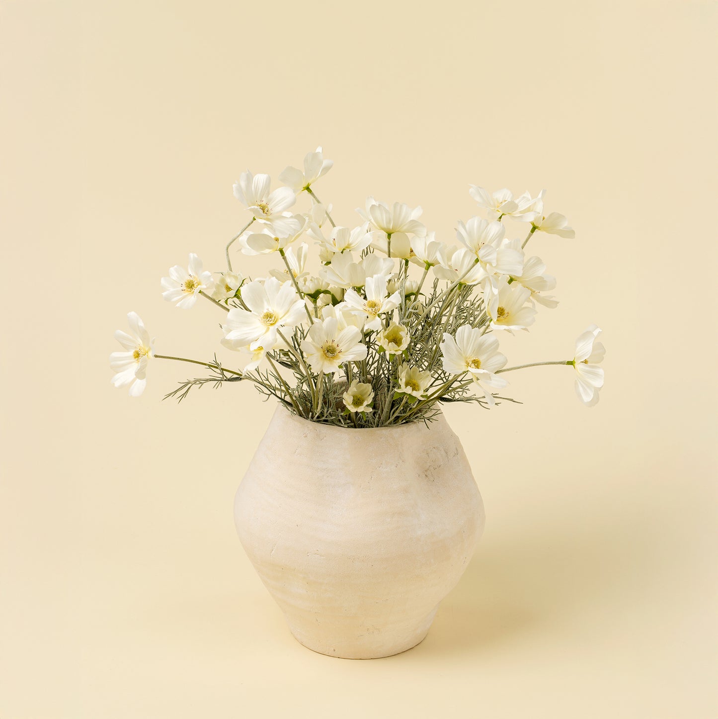 White Cosmos Spray
