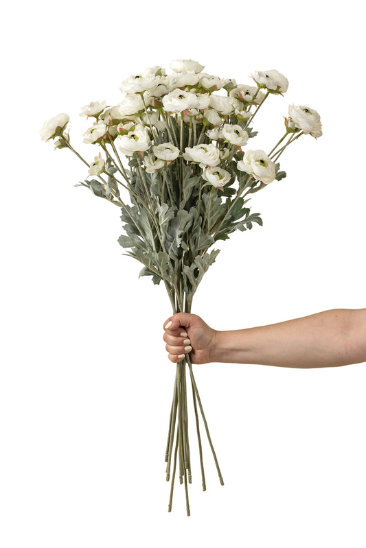 Ranunculus Spray, White