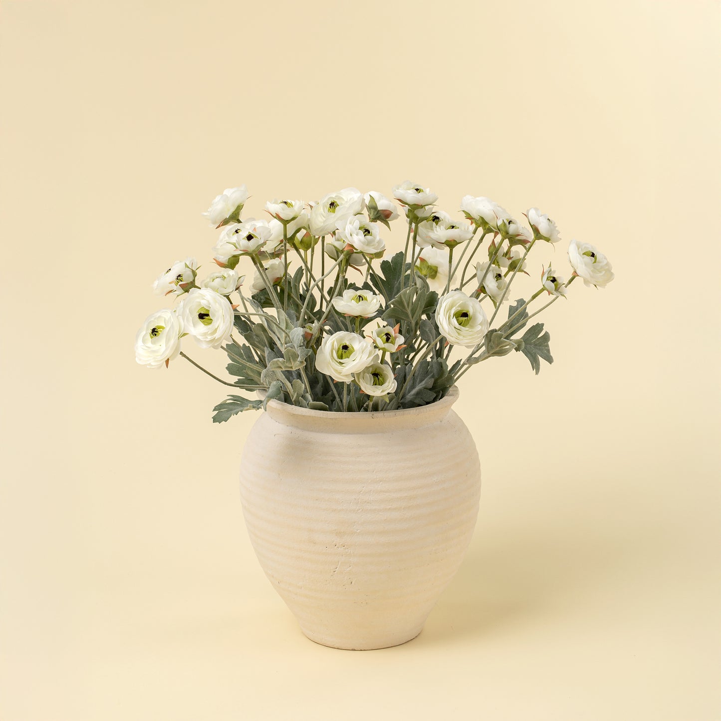 Ranunculus Spray, White