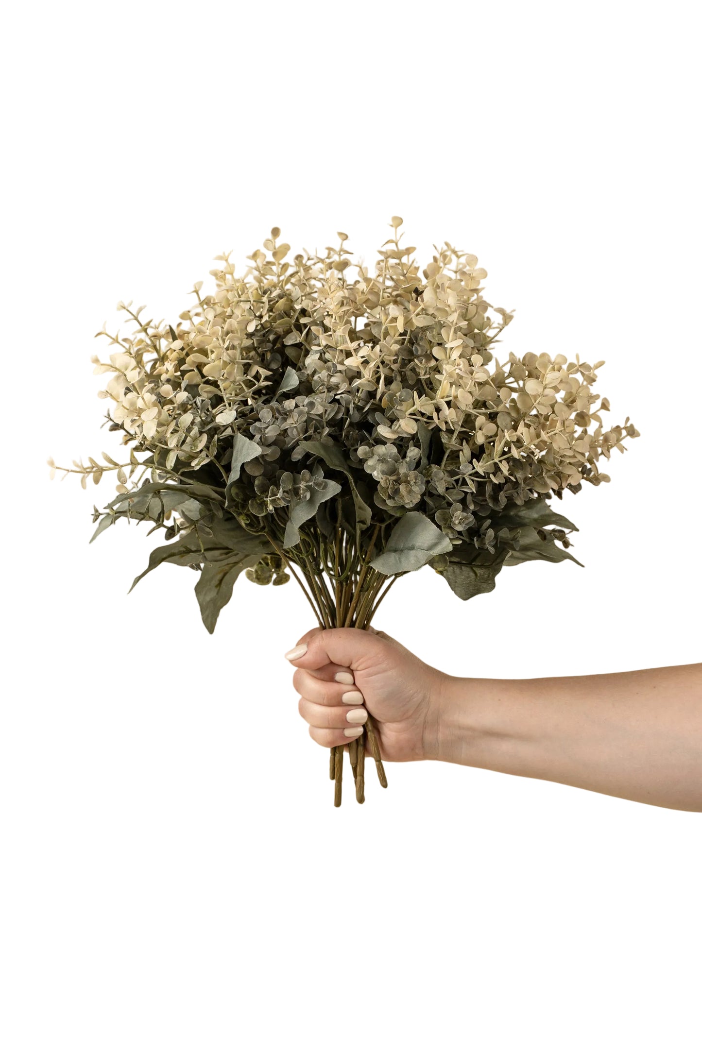 Primrue Green Eucalyptus Spray