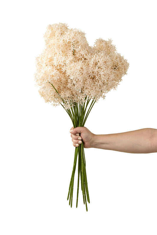 Champagne Allium Floral Spray