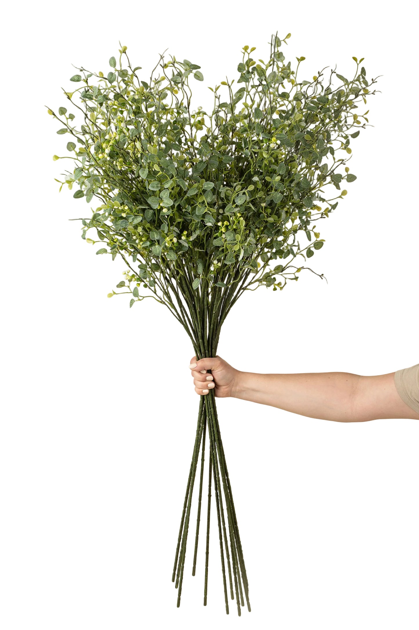 Butterfly Eucalyptus Branch