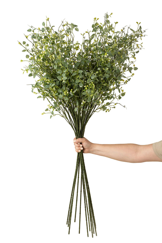 Butterfly Eucalyptus Branch