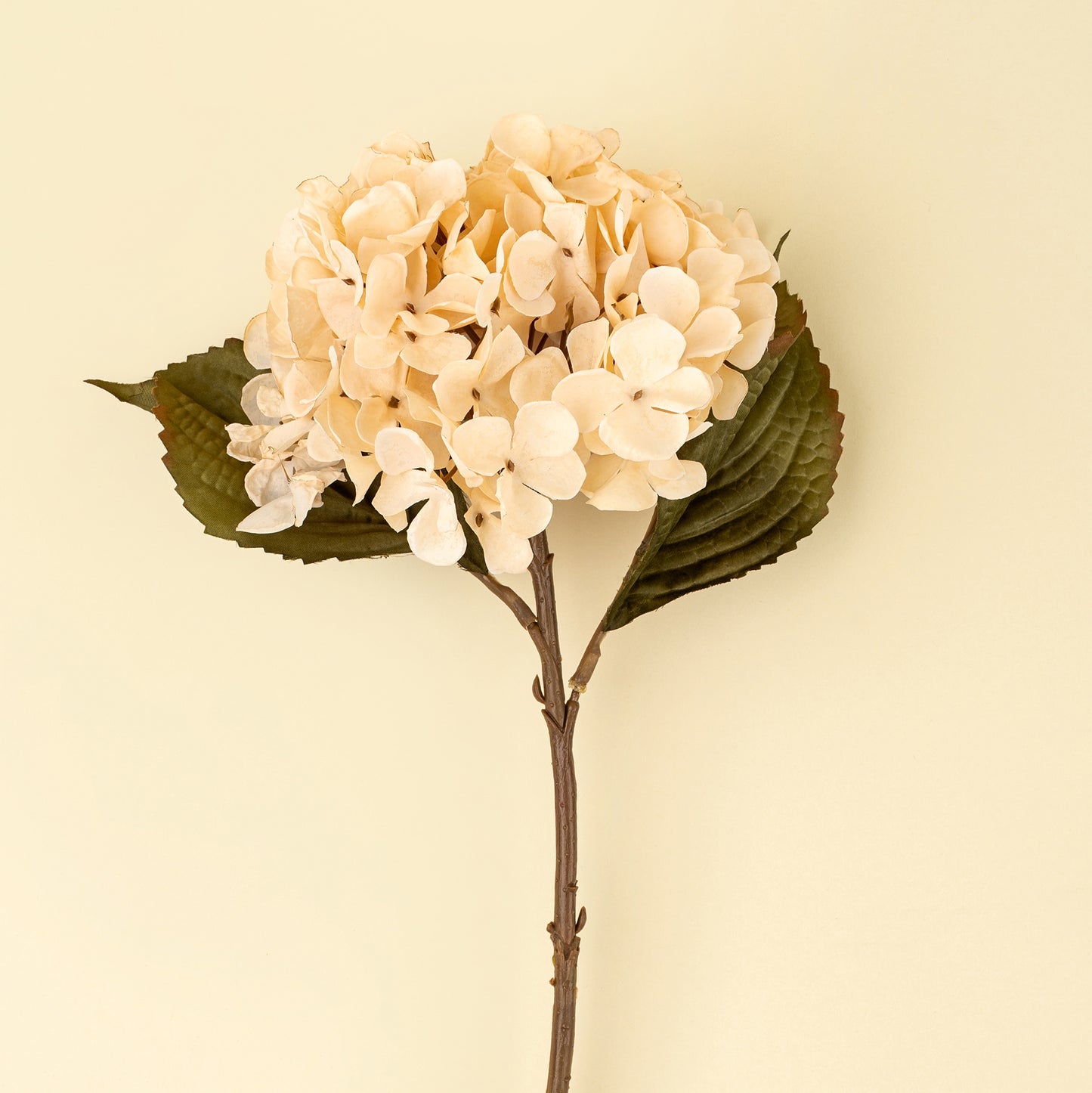 Hydrangea Floral Stem, Cream