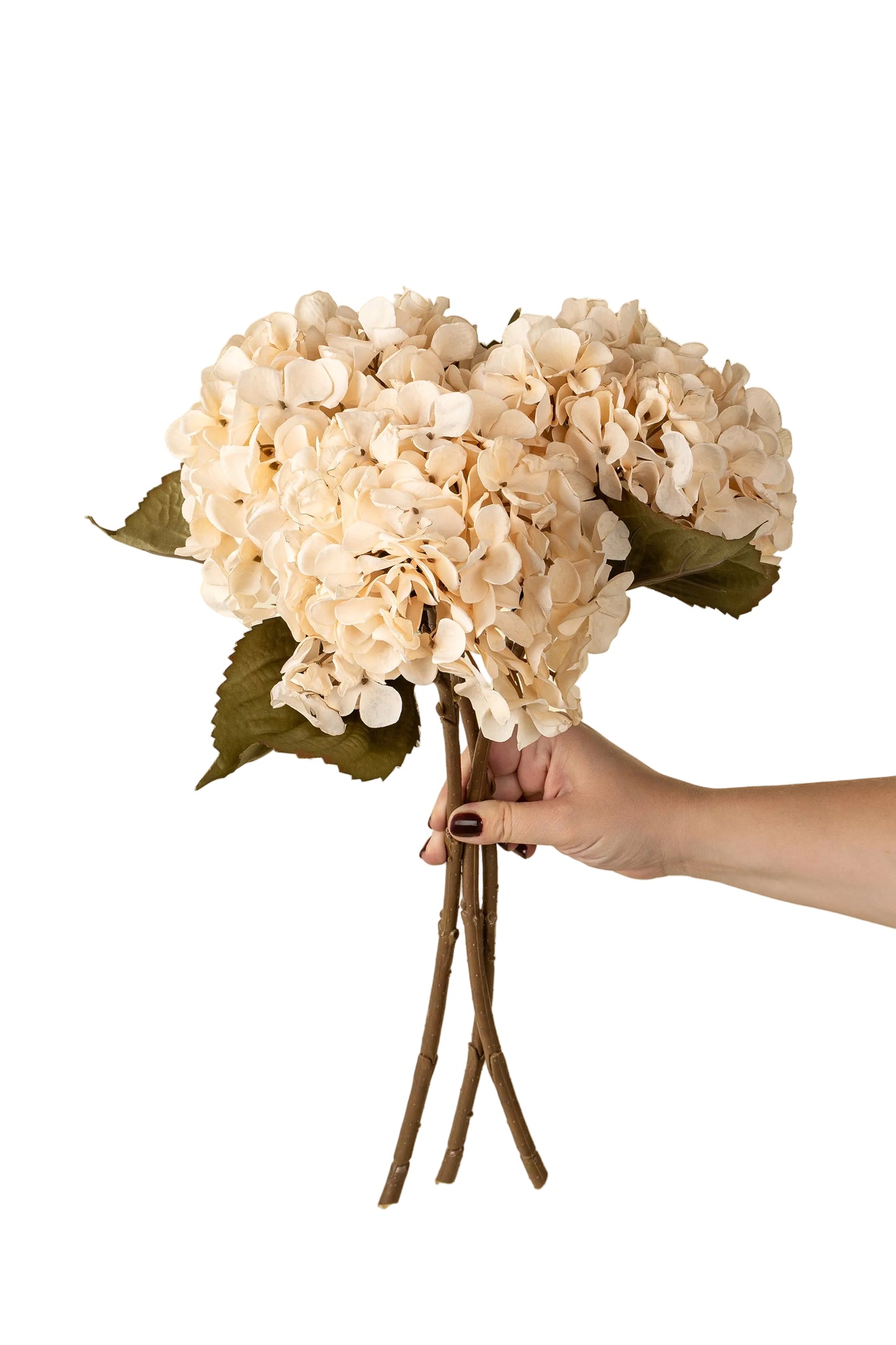 Hydrangea Floral Stem, Cream