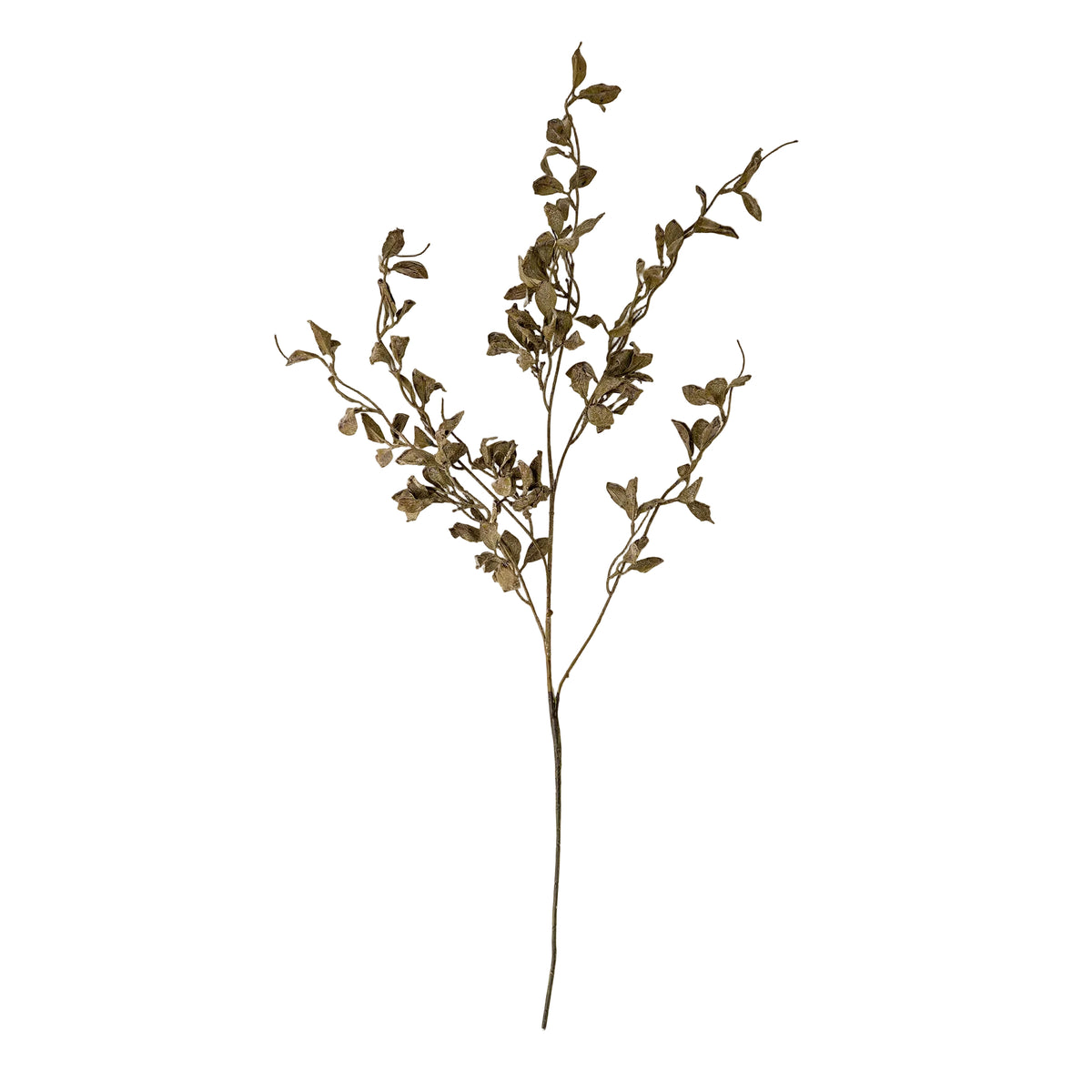 Dried plant stem with leaves on a beige background