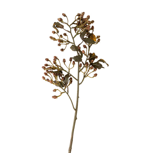 Hipericum Spray