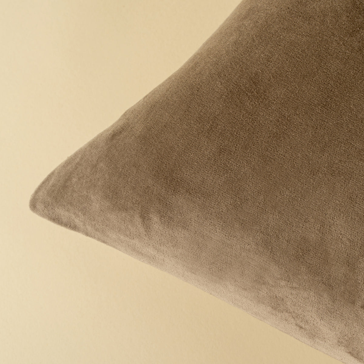 20x20 Vera Luxe Velvet Pillow, Birch