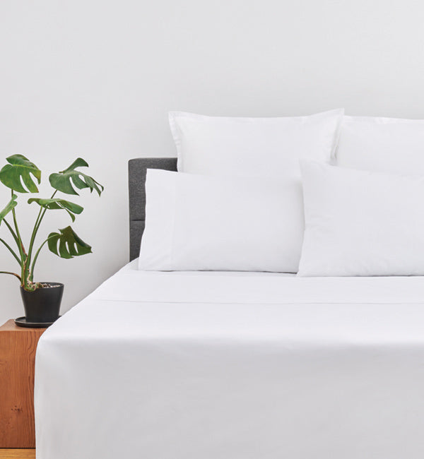 Percale Deluxe Pillow Cases, Set Of 2 Cuddle Down Special Order