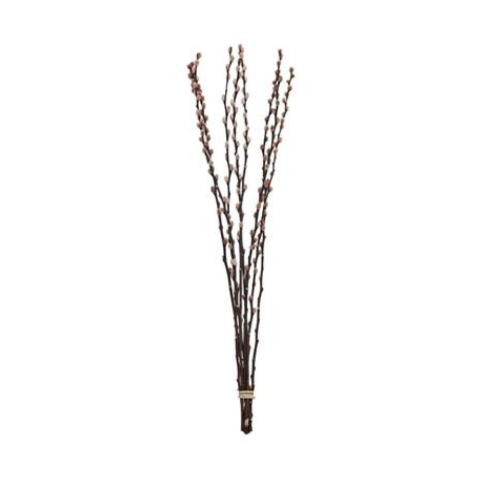 Dried Pussy Willow Branch, Blush