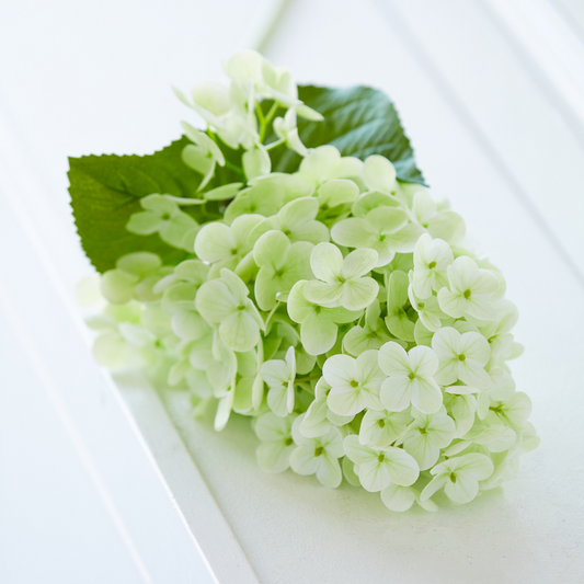 Green Real Touch Hydrangea