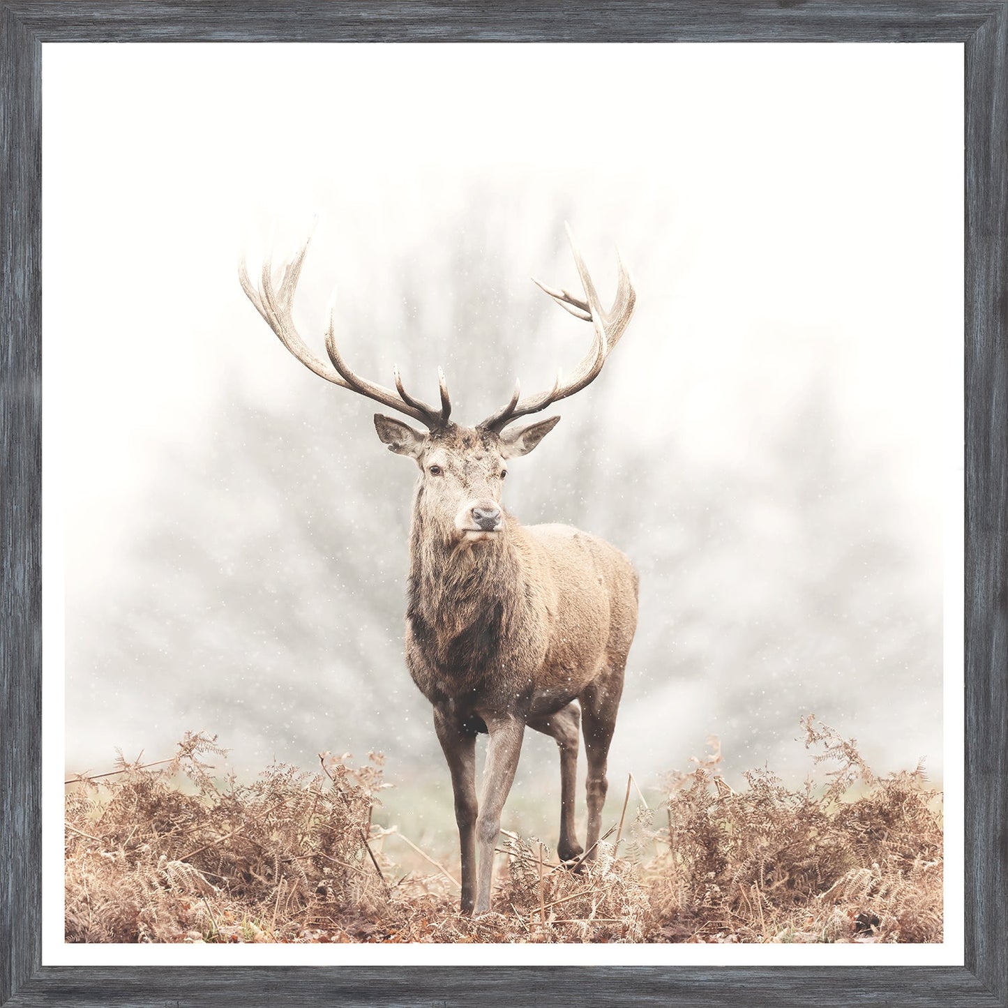 Red Deer Stag - Gray Frame